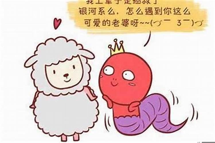 属羊人和属蛇女合婚吗