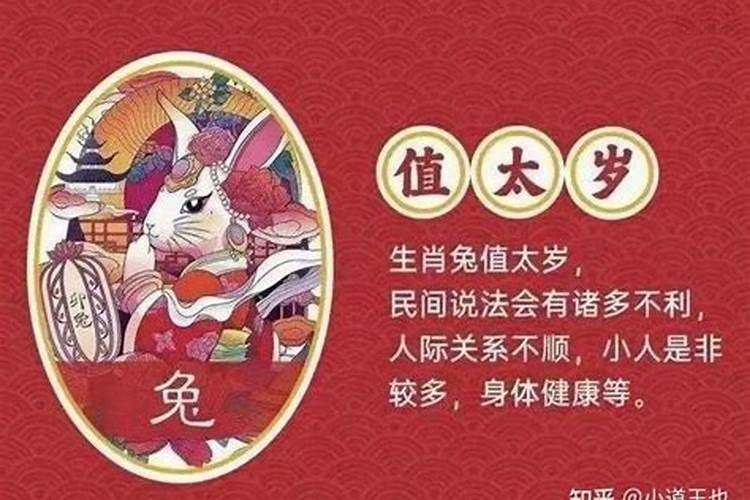 属兔人今年犯太岁