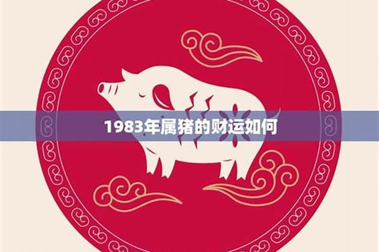 1983年属猪的人财运怎么样