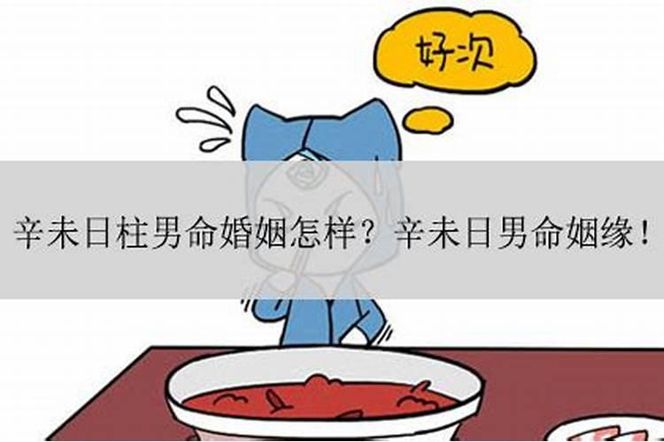 辛未日婚姻不顺日支被合