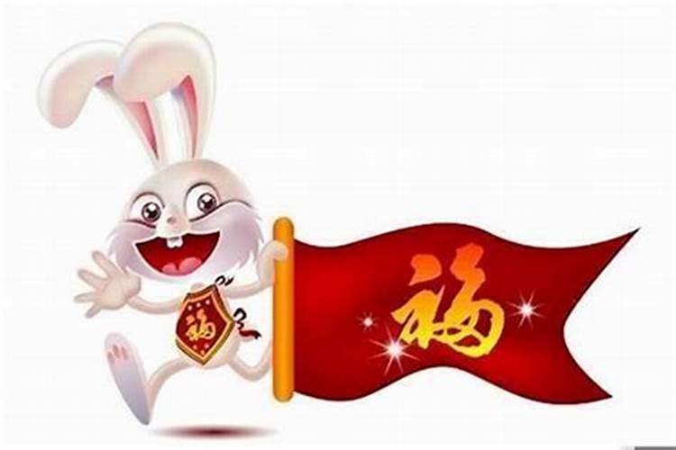 属兔的今年财运咋样,属兔的今年小人多吗