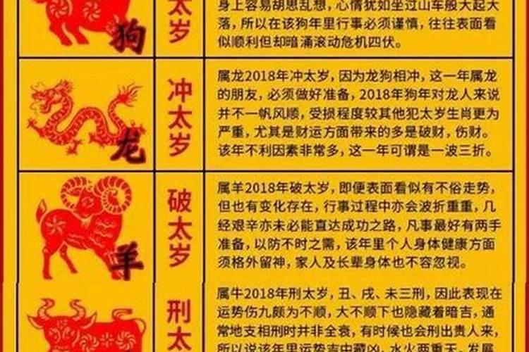 女人犯小人应该注意什么问题