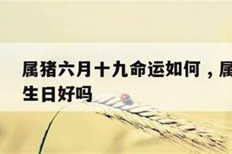 2007年属猪是什么命男宝出生6月初五,4点45分