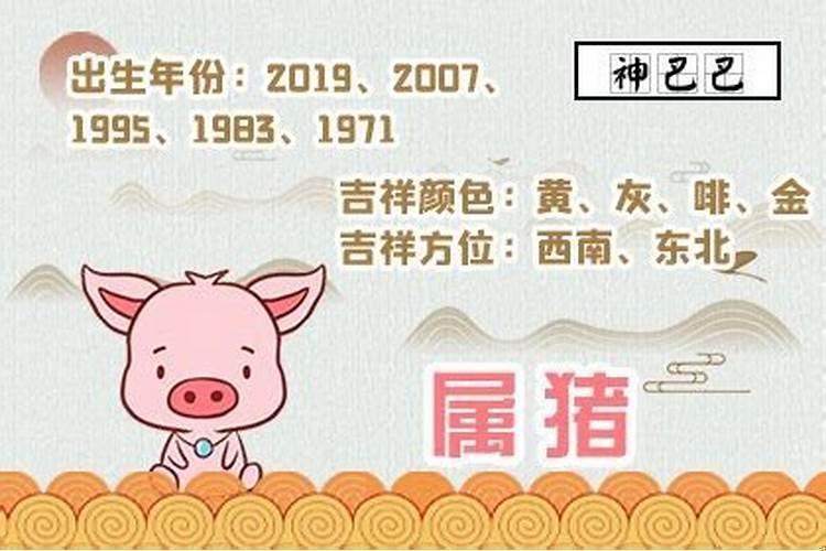 2007属猪2021幸运色