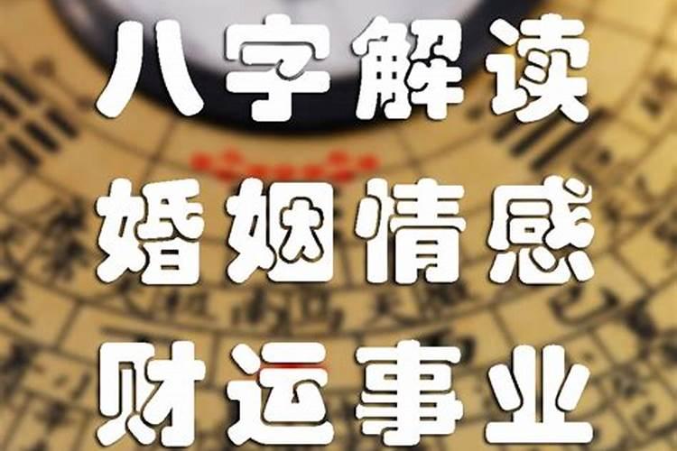 八字看适合的行业