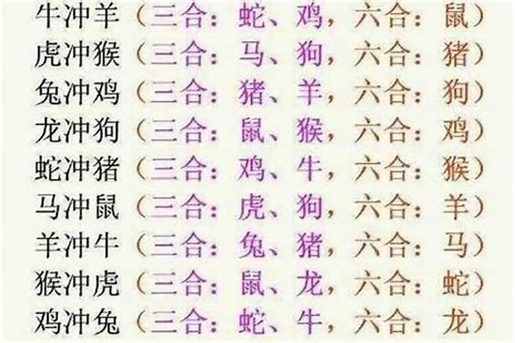 龙和狗结婚八字合吗