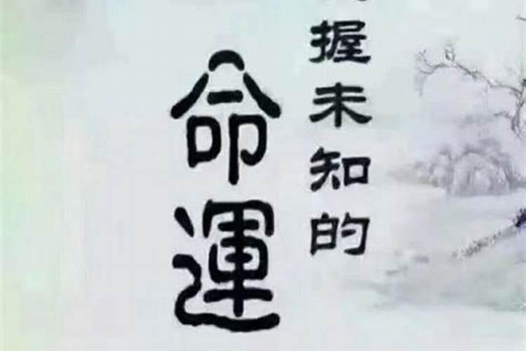 桃花童子命是什么意思