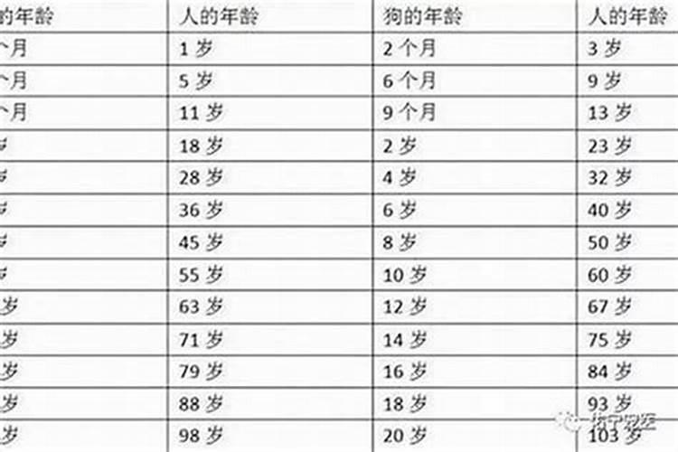 属狗的的年龄表