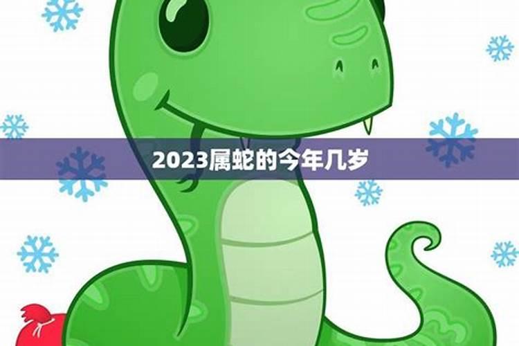 属蛇的今年几岁了2022