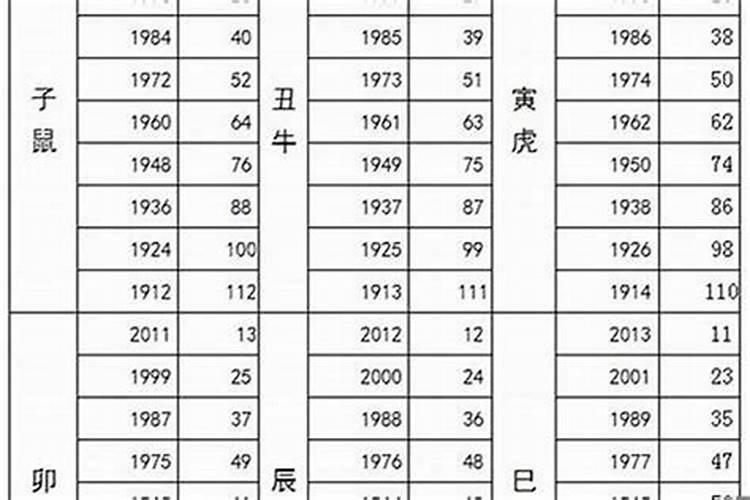 属猪的今年多少岁2020年多少岁