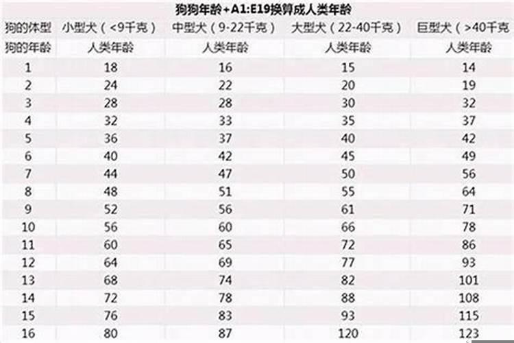 属狗的今年有多大年龄