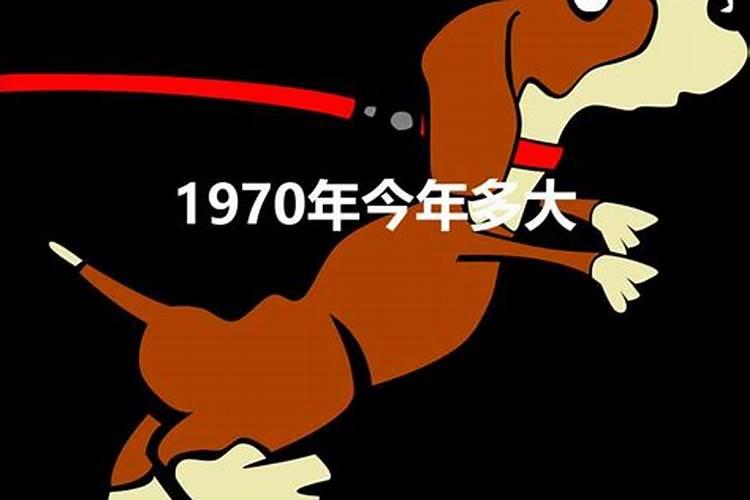 1970属狗的今年多大年龄