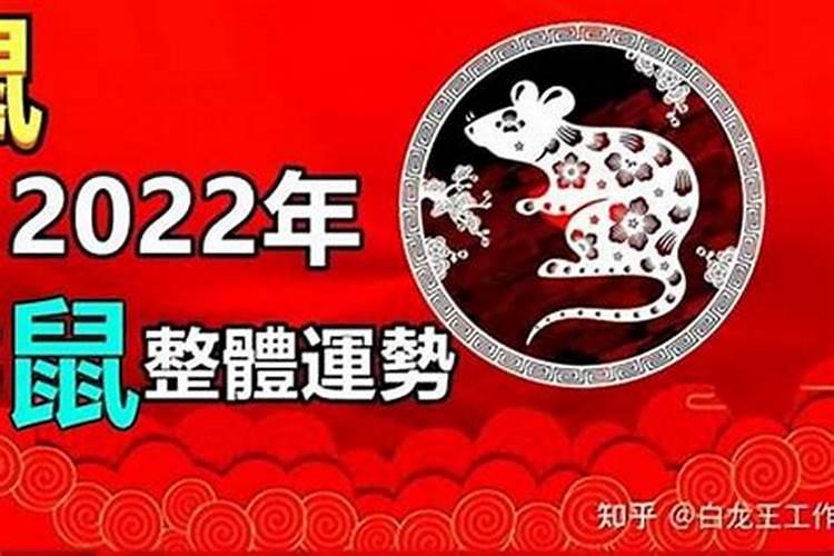 属鼠的人今年结婚