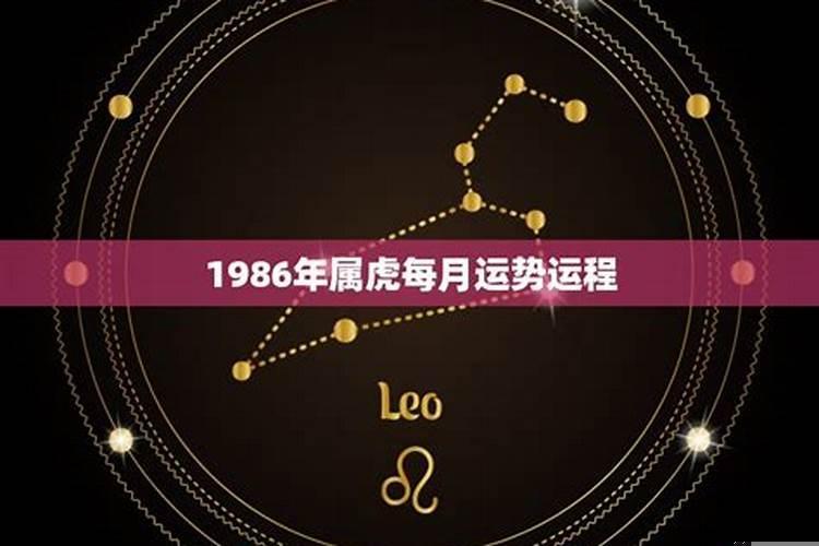 1986年属虎女在2022的每月运势怎么样