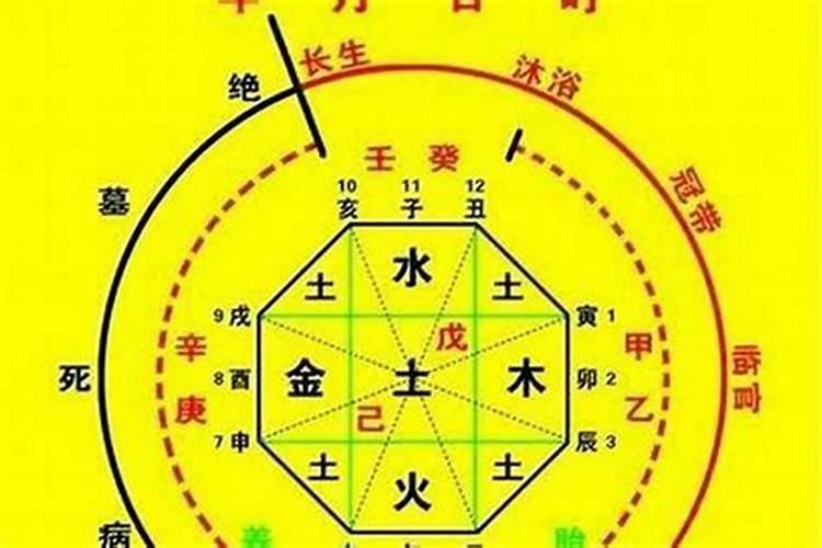 八字忌神交战视频