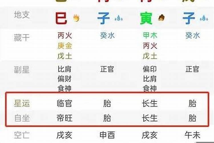 八字中星运胎是什么意思