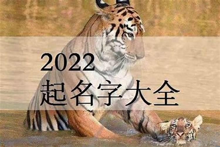 2022属虎的男孩名字宜用字