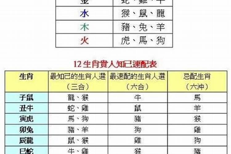 48岁是属什么属相