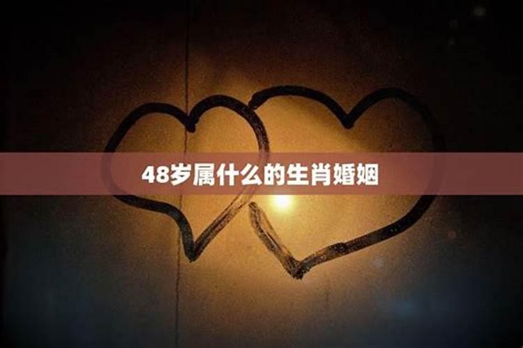 48岁属什么生肖是哪一年