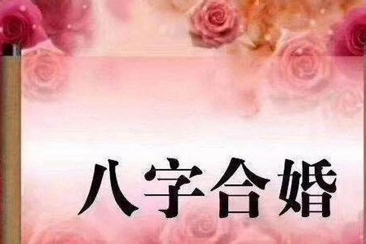 向佐属什么生肖的人呢