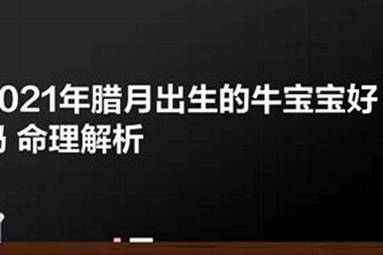 2020年本命年怀孕生牛宝宝可以吗