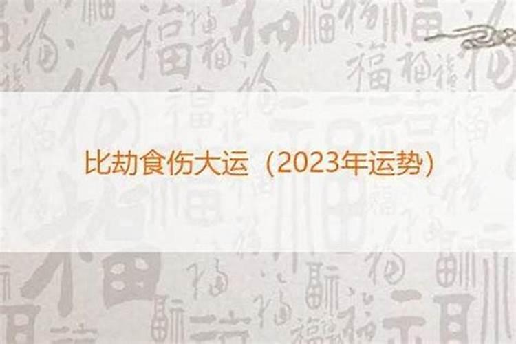 2022年太岁属相如下