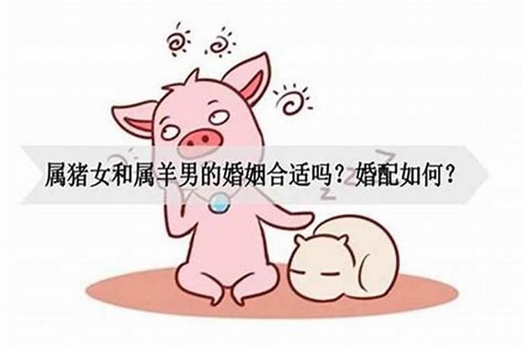 男属猪和女属狗的婚姻如何