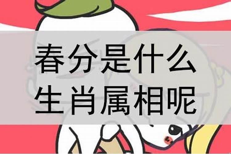 风尘仆仆的动物是什么生肖