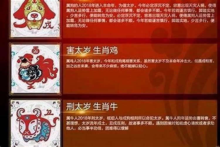 本命年运气一直很差怎么回事