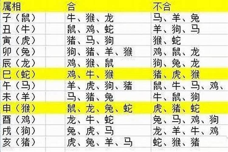 2023年属什么生肖的宝