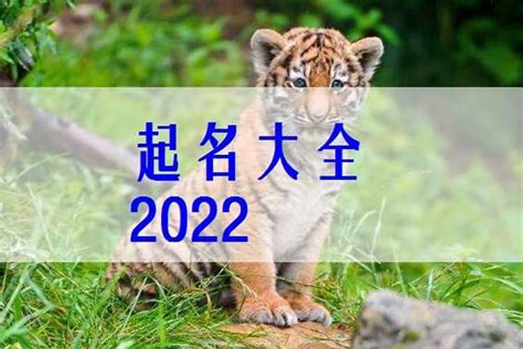 2022年属虎