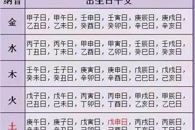 乙未日柱婚配