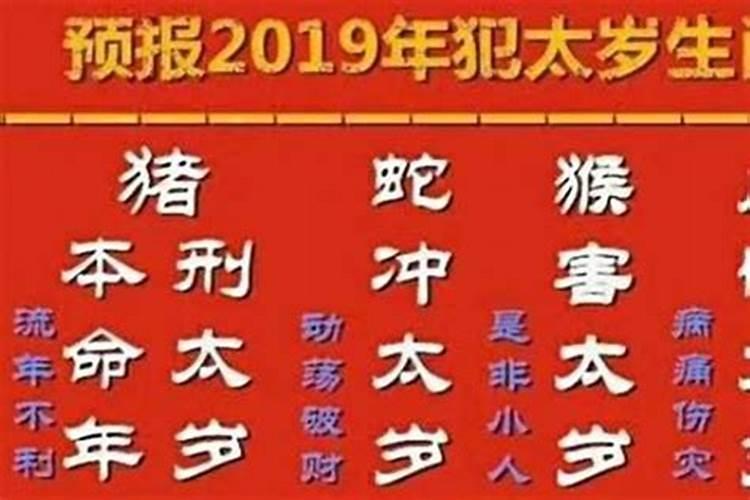 属猪今年犯太岁禁忌