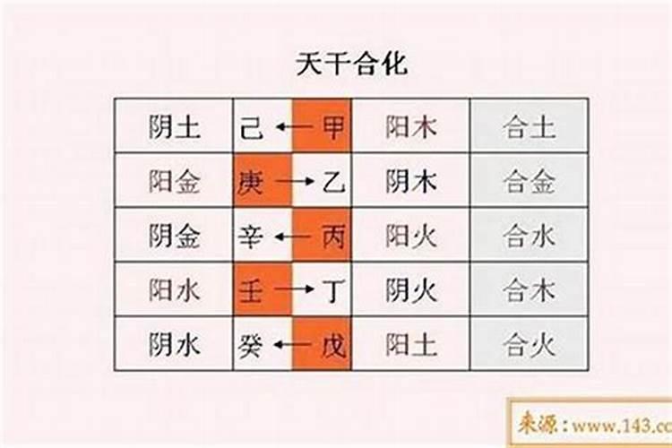 八字地支合婚什么意思