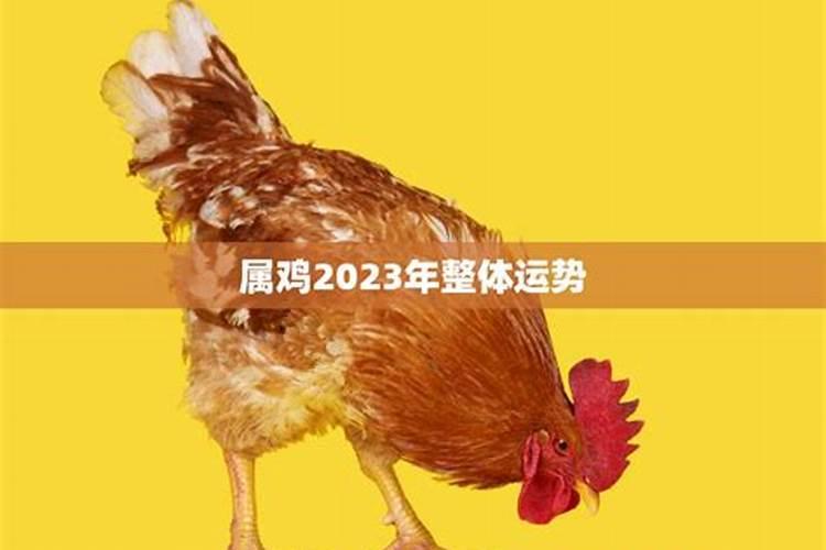 属鸡2022年的运气看看