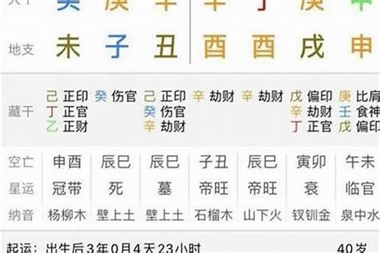 丁卯大运属什么运