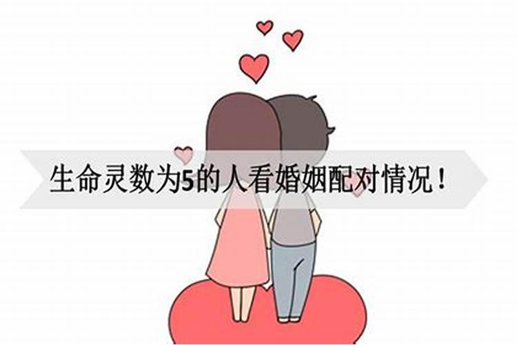 查阴债看什么书