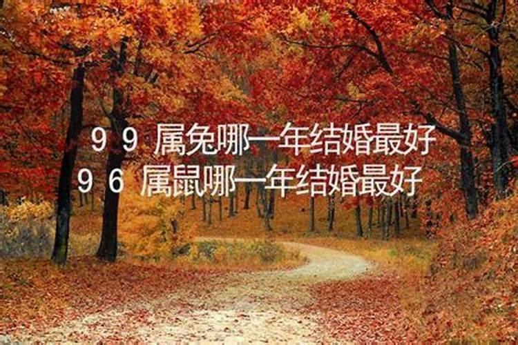 1996年属鼠2023结婚