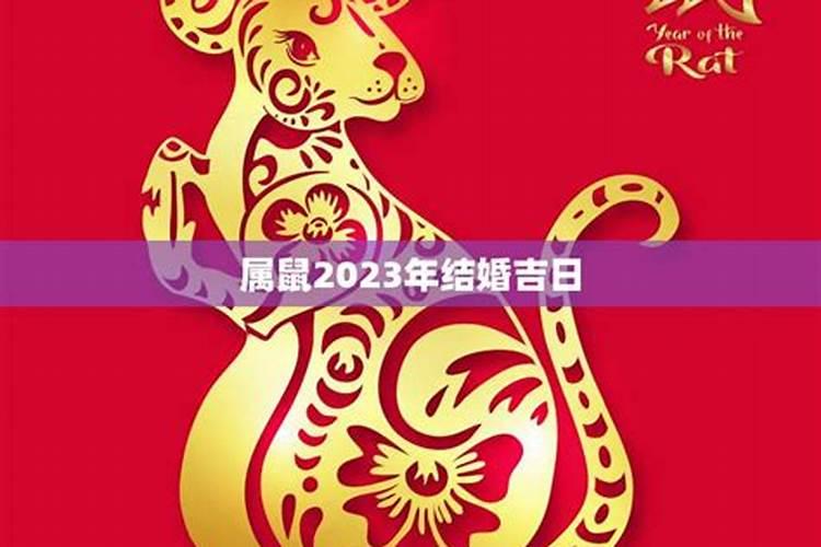 男女都属鼠2023年结婚