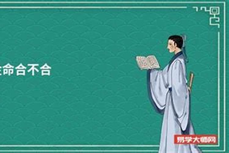 火牛土虎八字合吗