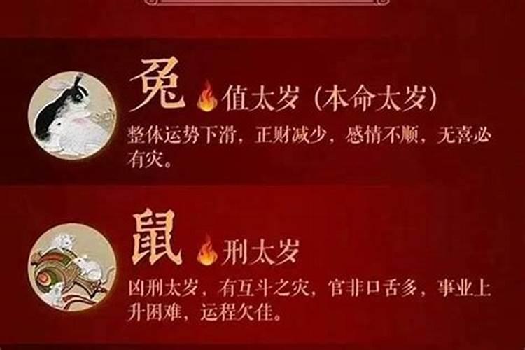 犯太岁的危害和注意事项是什么