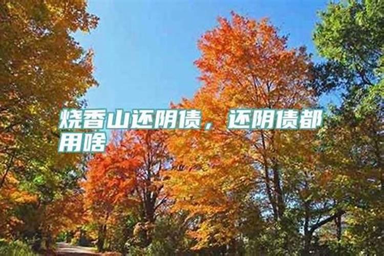 属兔的本命年是202几年