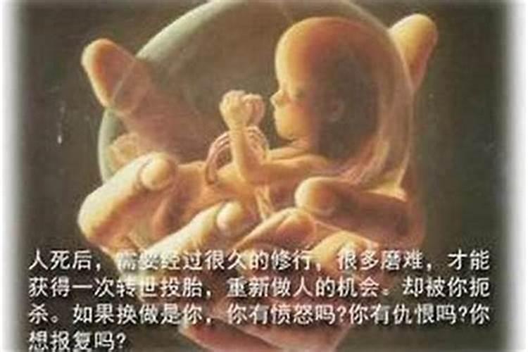 1990年属马的人一生命运如何婚姻