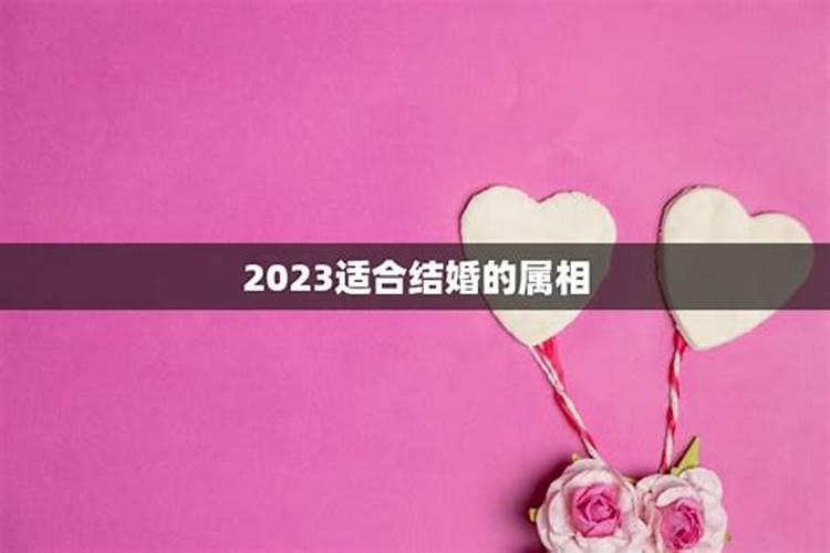 2023年兔年适合结婚的属相女