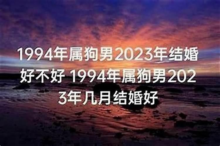 属狗的2021年几月份结婚最好呢