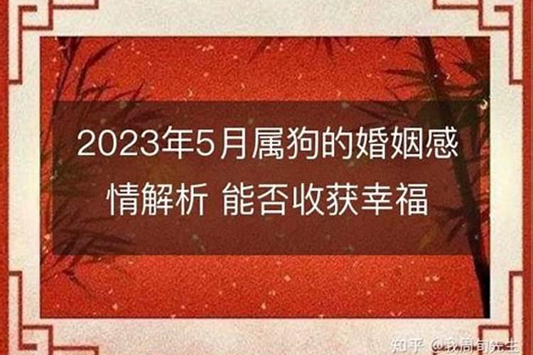 属狗2023年结婚好不好