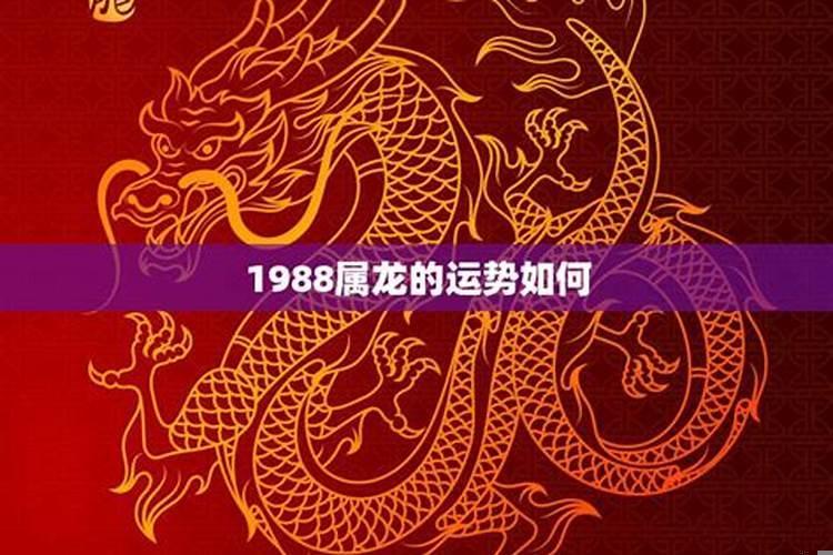 1988年属龙人在2022年的运势