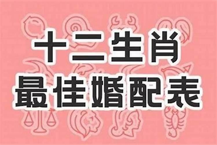 属虎和属牛结婚合适吗