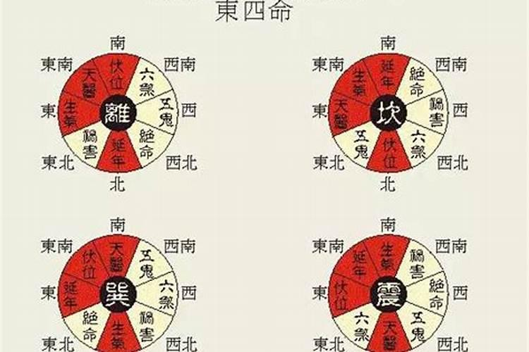 属蛇今年运势2021免费