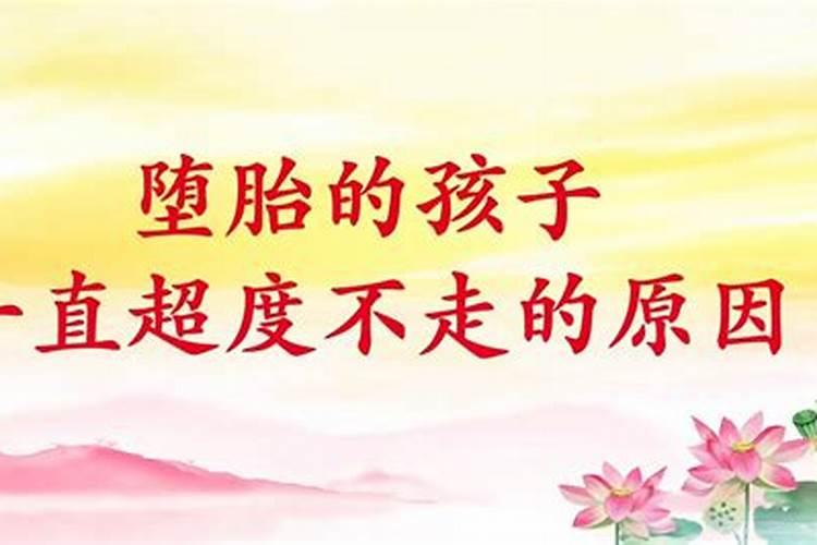 属虎的今年是什么星座